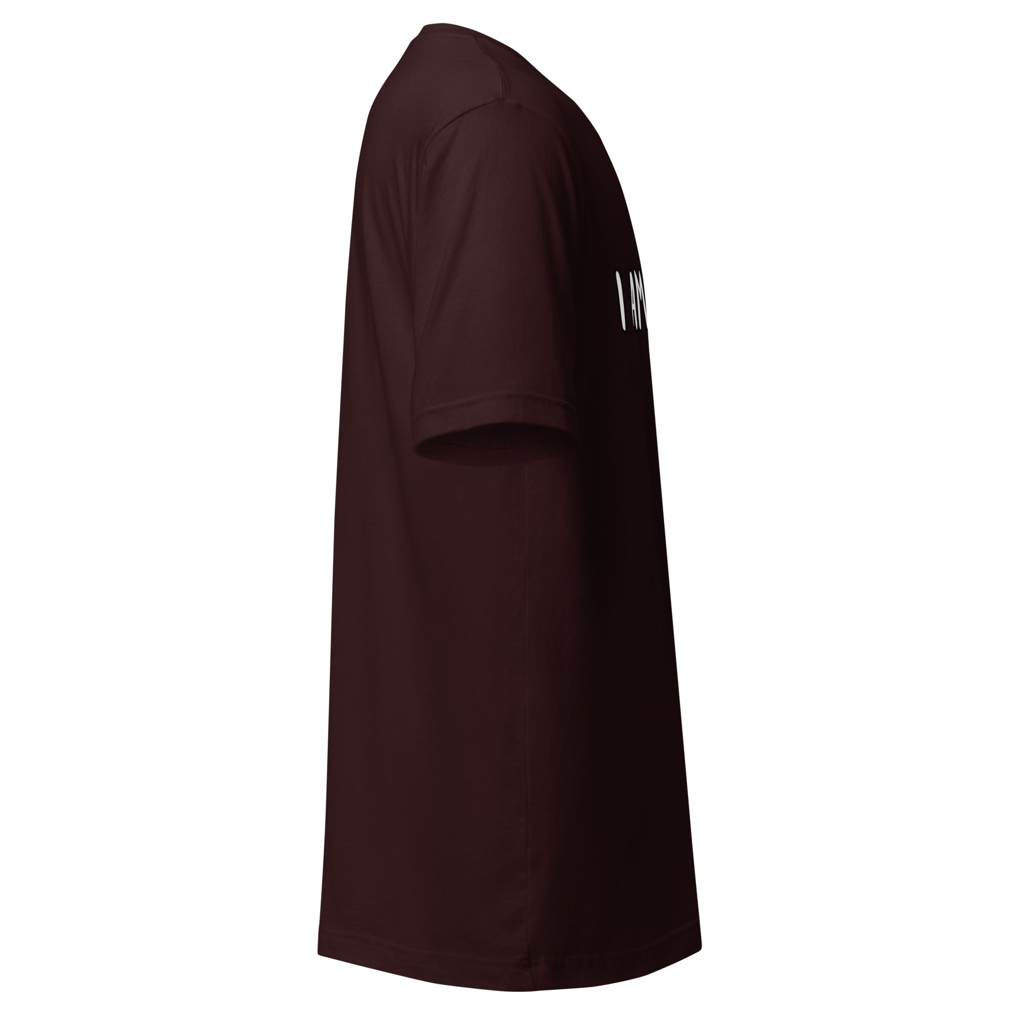 R - I Am Jane Doe - Oxblood Black Unisex T-shirt - Image 4